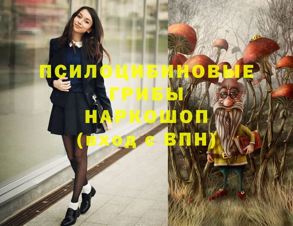 спайс Мегион