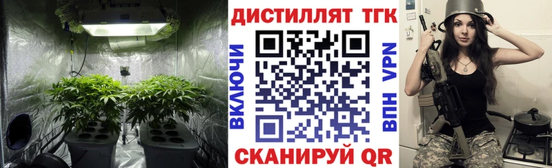 ТГК вейп с тгк  где продают наркотики  Нижнеудинск 