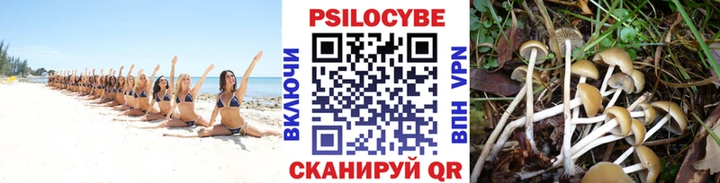 Галлюциногенные грибы ЛСД  Нижнеудинск 
