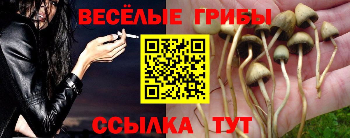 Псилоцибиновые грибы Psilocybine cubensis  Вход с VPN  Нижнеудинск  Псилоцибиновые грибы Psilocybine cubensis 